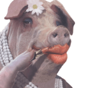 Putting lipstick on a pig company values