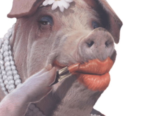 Putting lipstick on a pig company values